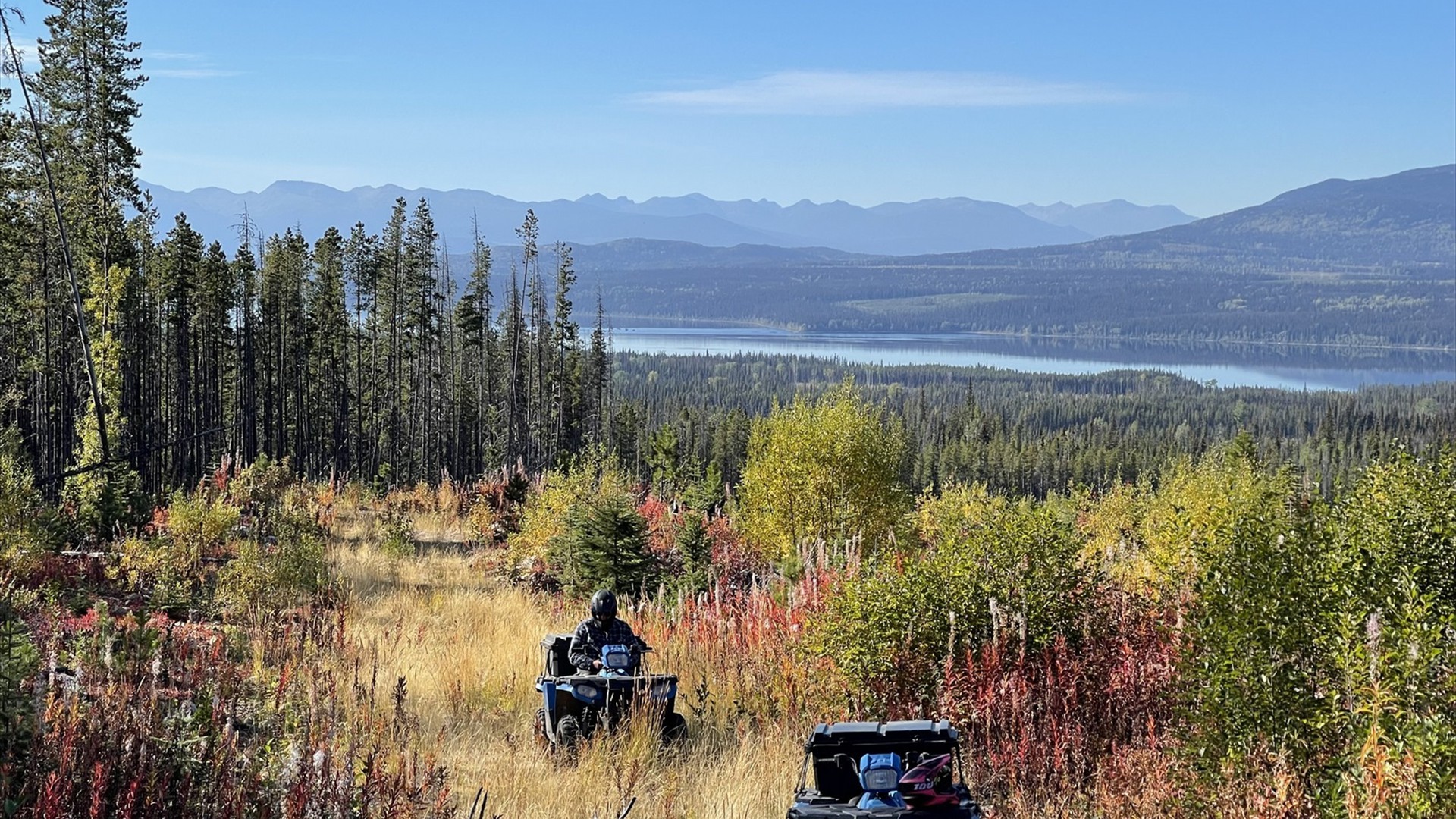 Background_Aktivitaeten_01