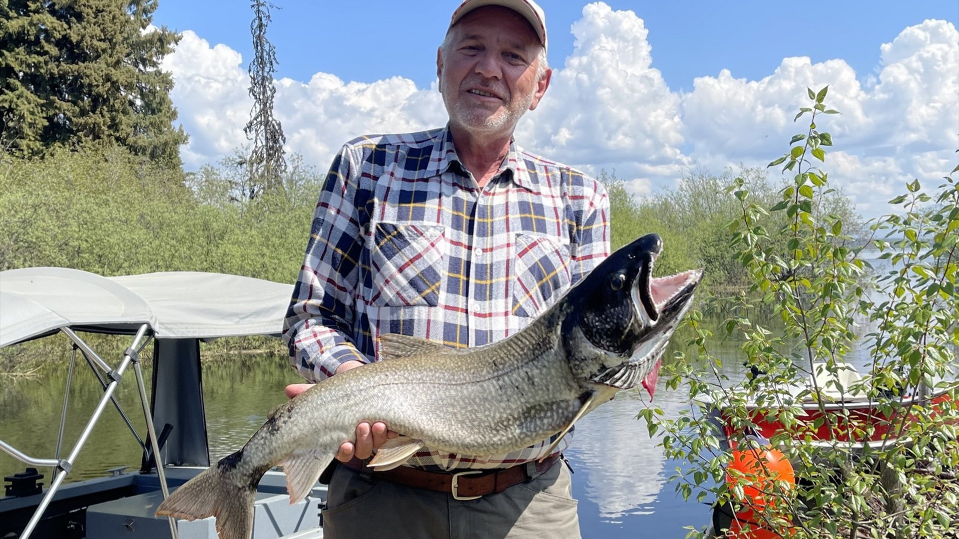 Background_Aktivitaeten_03