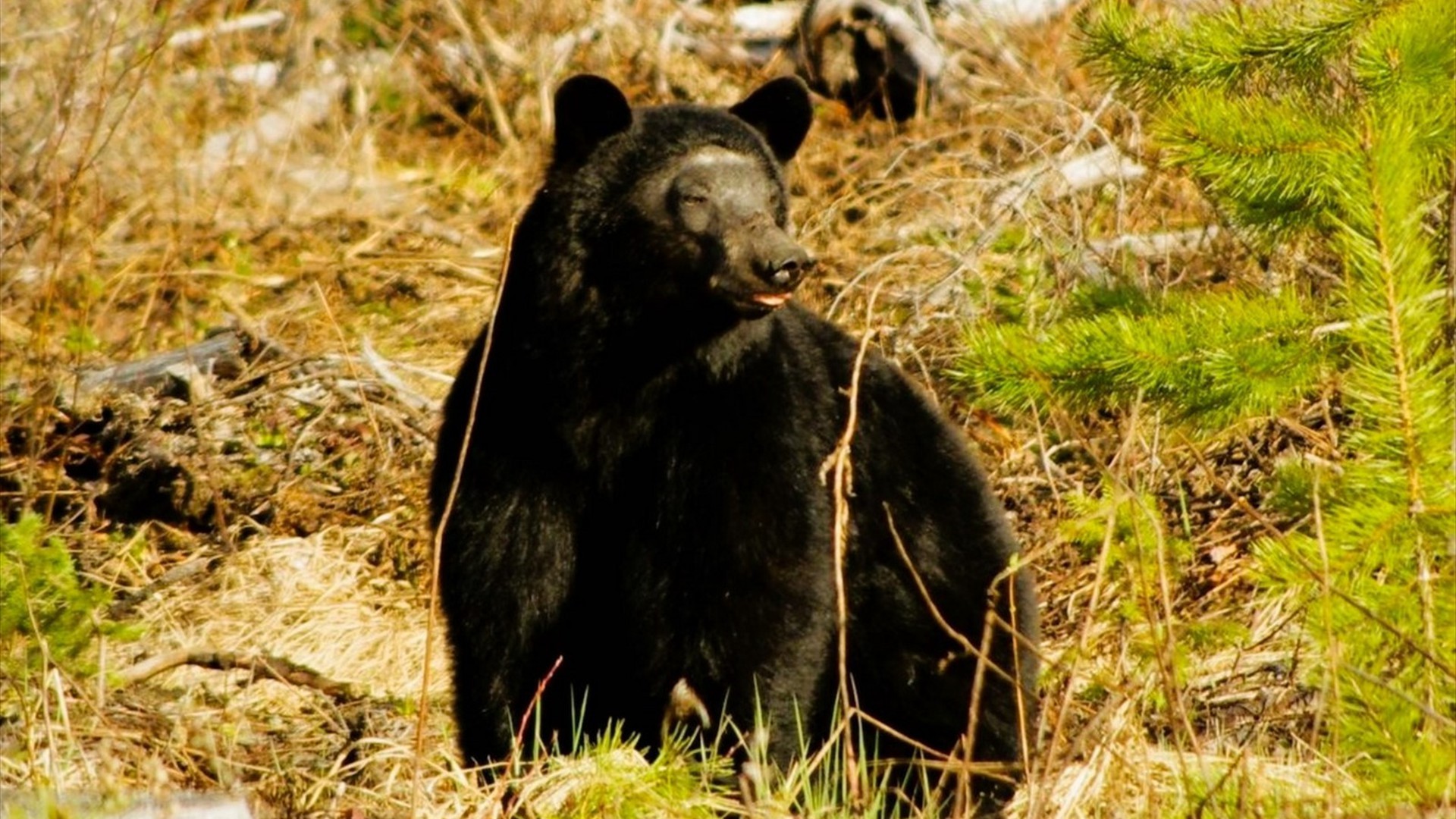 Background_Aktivitaeten_06