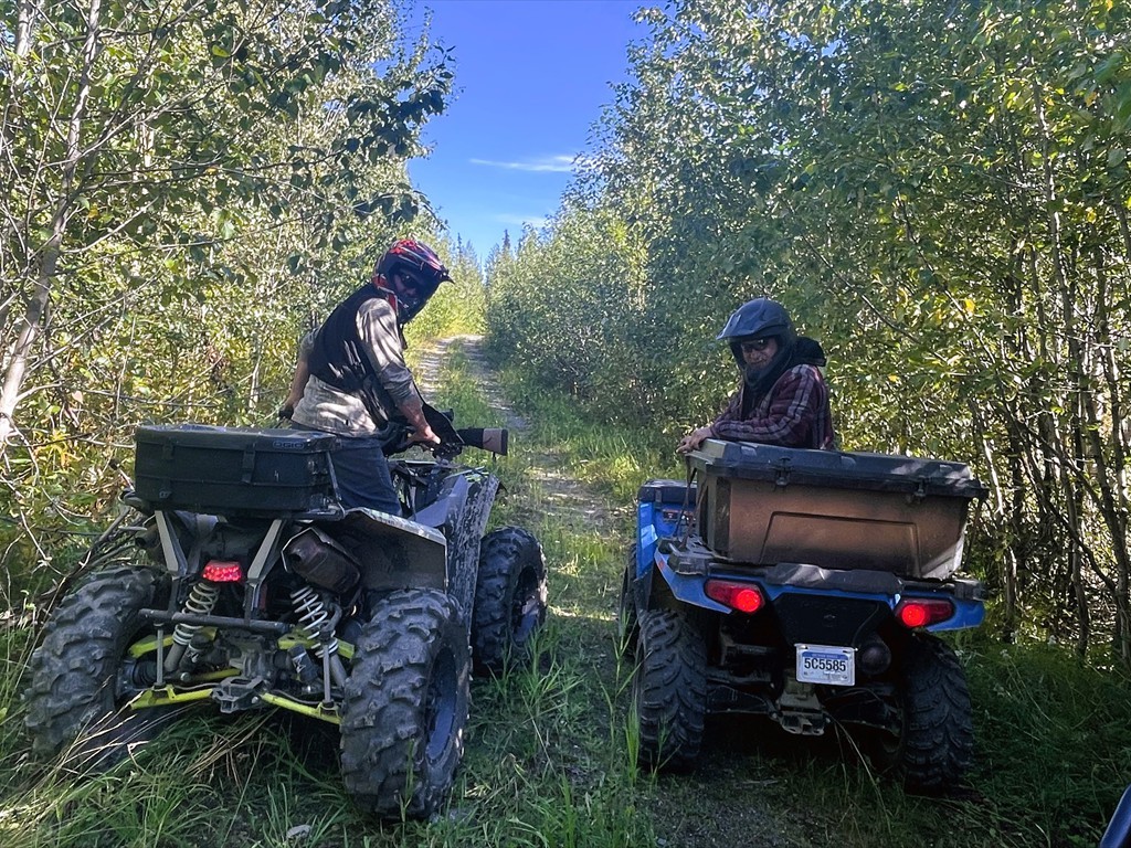 Quad_14