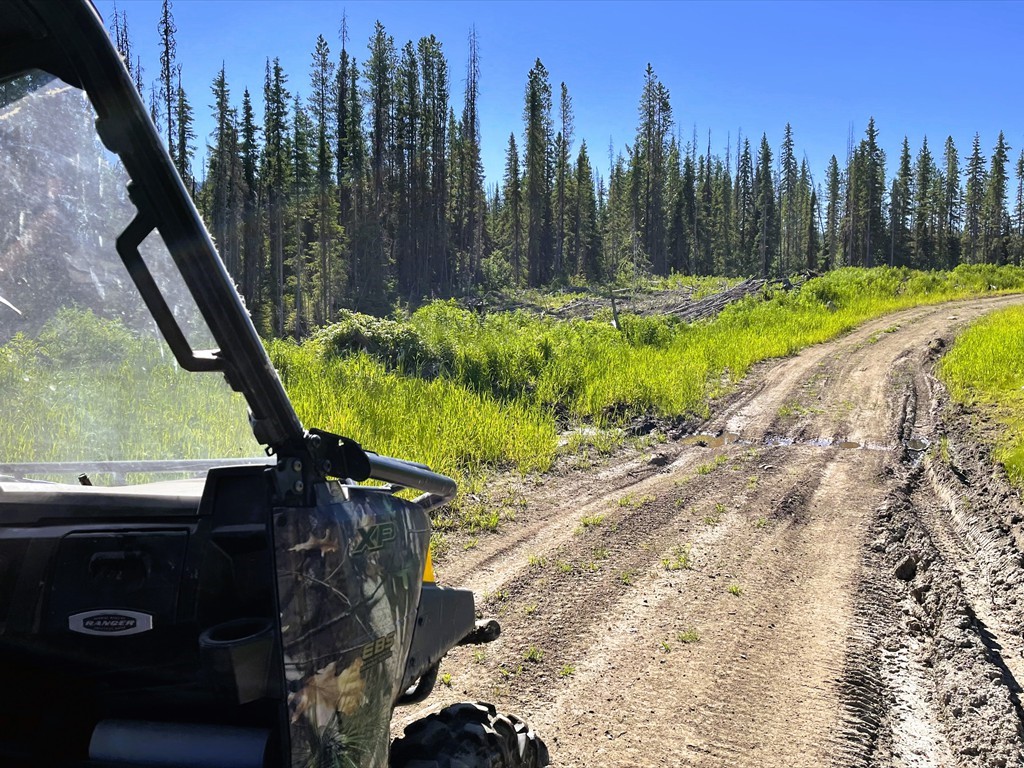 Quad_19