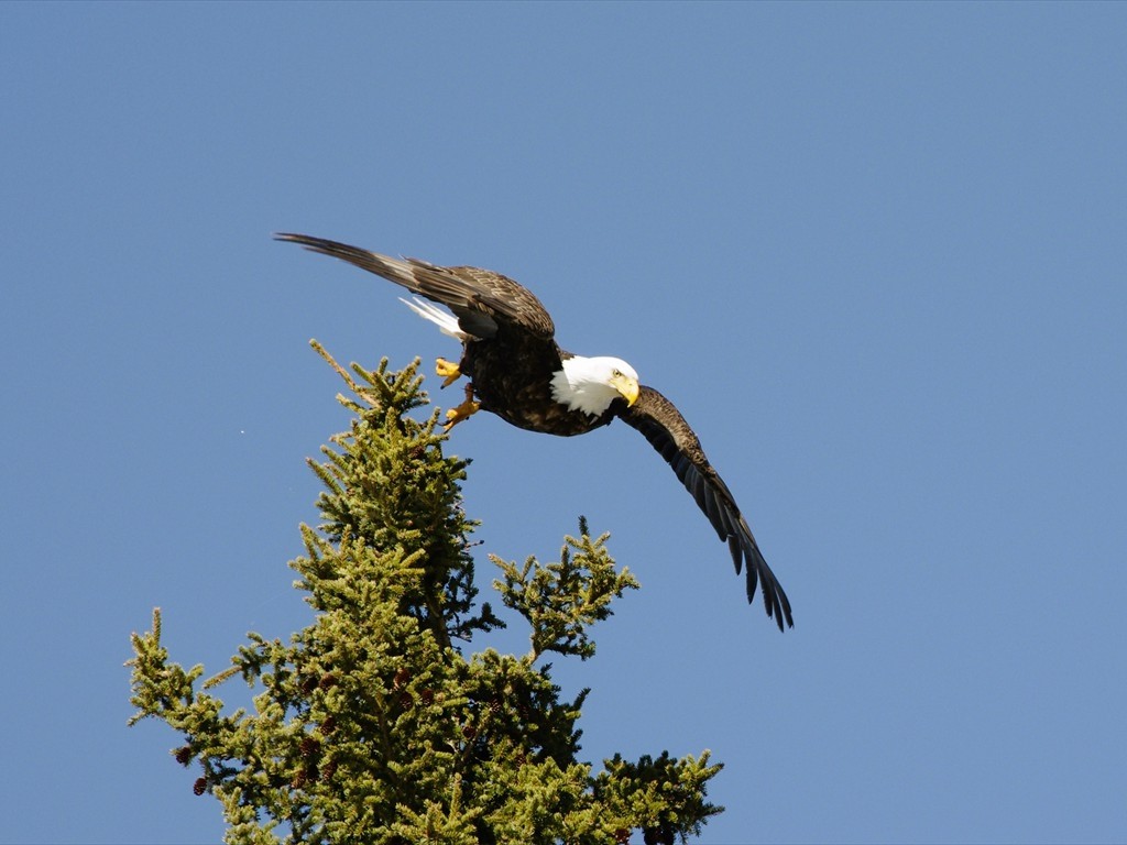 Tierbeobachtungen_12