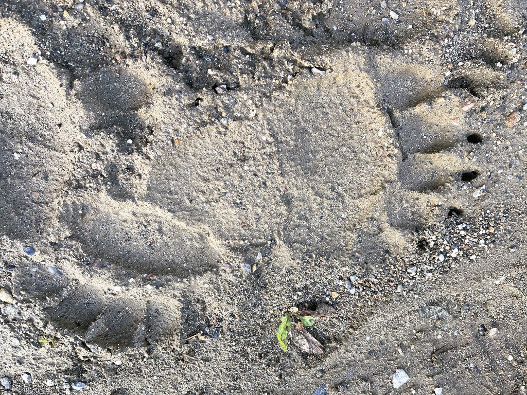 Spurensuche_01