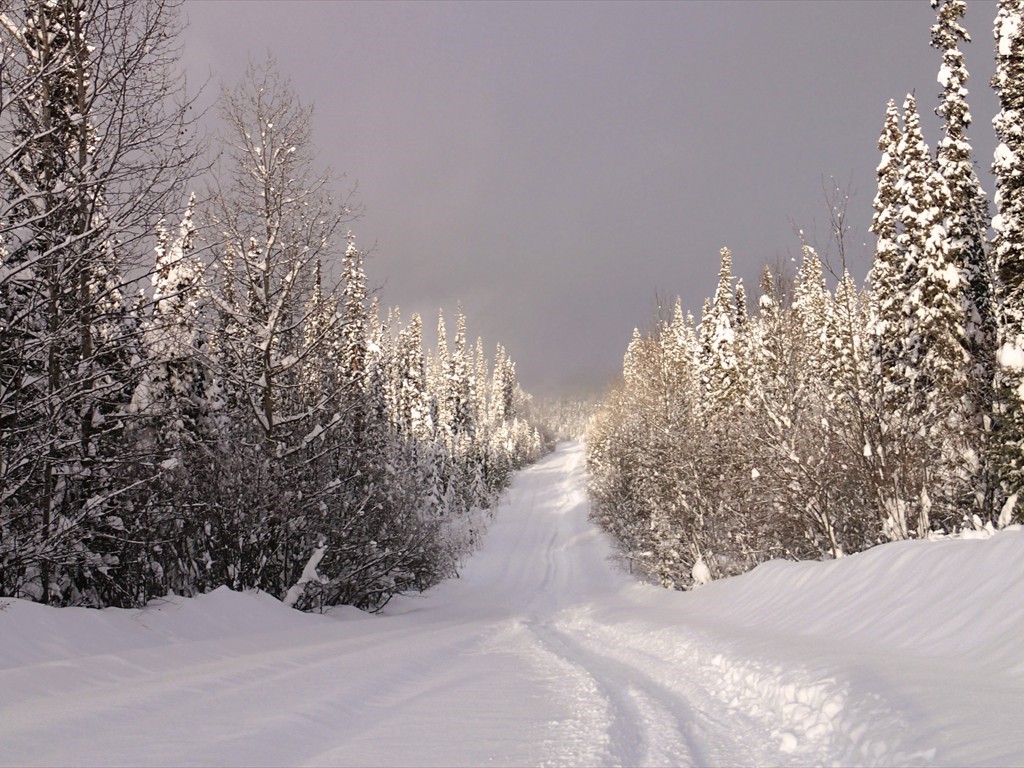 6_snowmobil