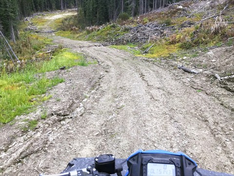 Quad_07