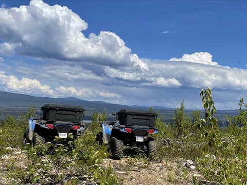 Quad_12