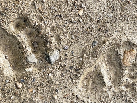 Spurensuche_08