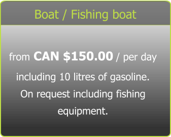 Boat / Fishing boat from CAN $150.00 / per day including 10 litres of gasoline. On request including fishing equipment.